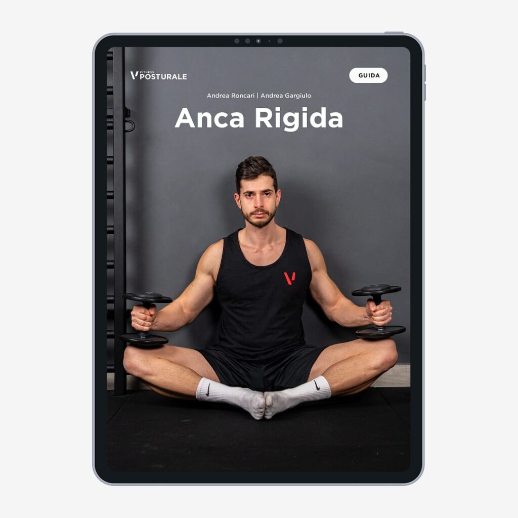 FP BUNDLE anca rigida