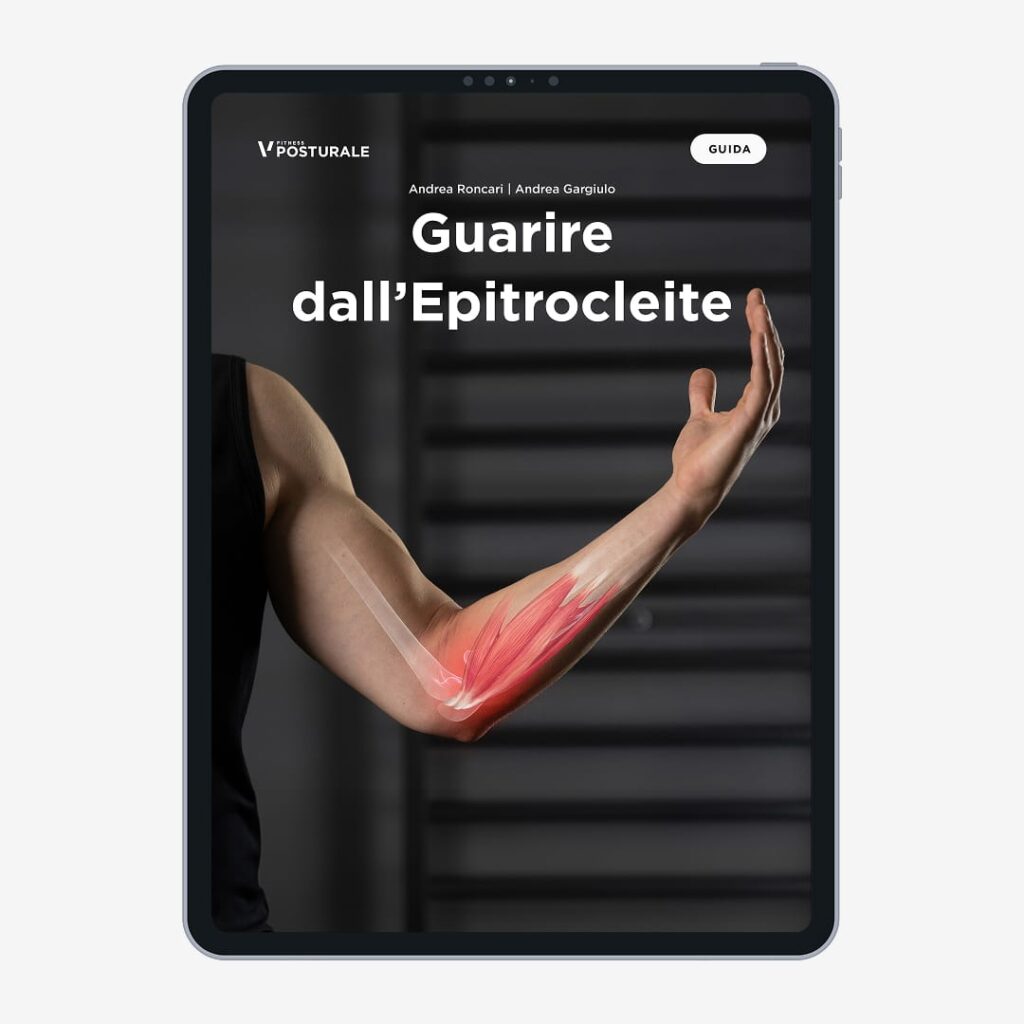 FP BUNDLE epitrocleite